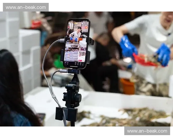 手机直播8全新升级推出多项功能优化体验提升，助力主播打造高效互动直播平台